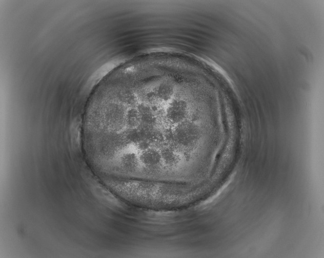 X0000113370921200910131318