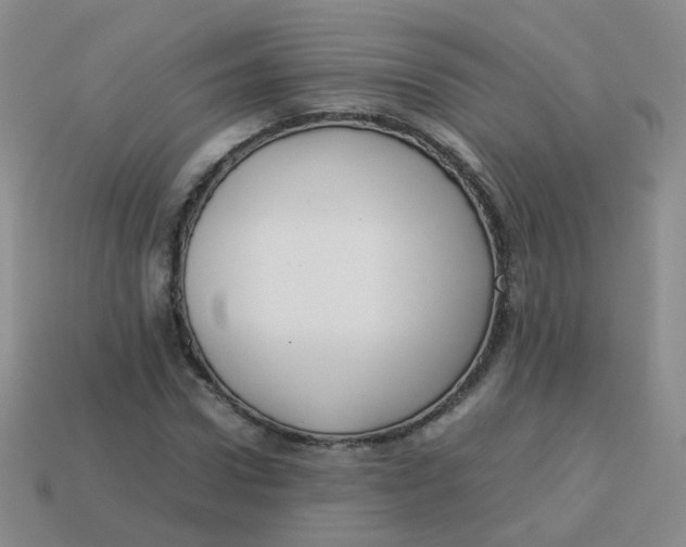 X0000113370922200910131318