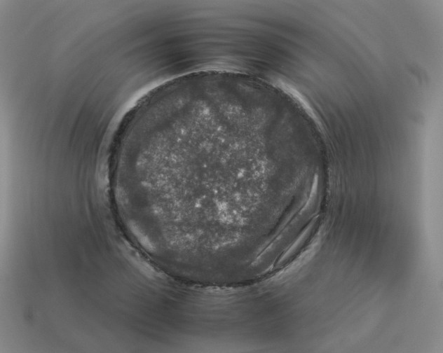 X0000113370923200910131318