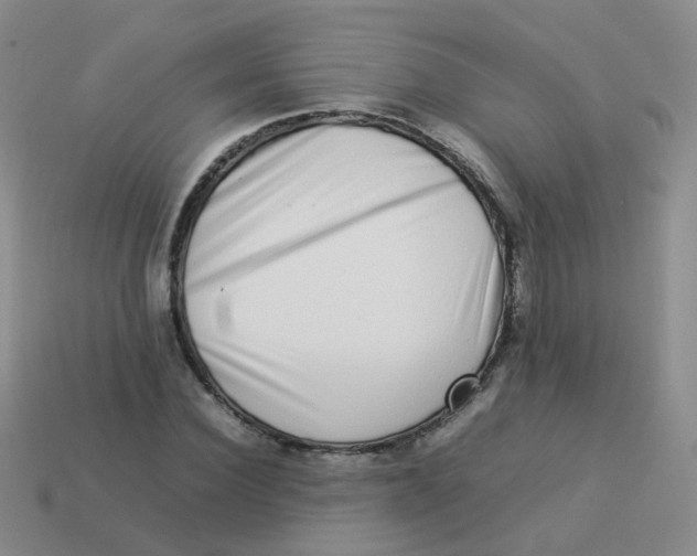 X0000113370924200910131318