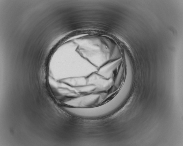 X0000113370925200910131318