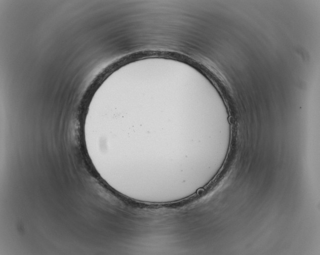 X0000113370926200910131318