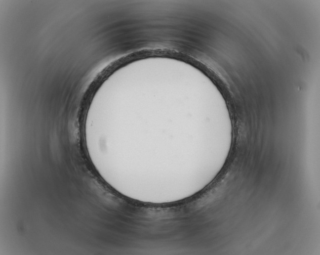 X0000113370927200910131318