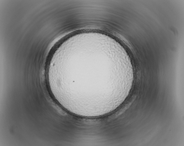X0000113370928200910131318