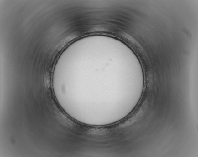 X0000113370929200910131318
