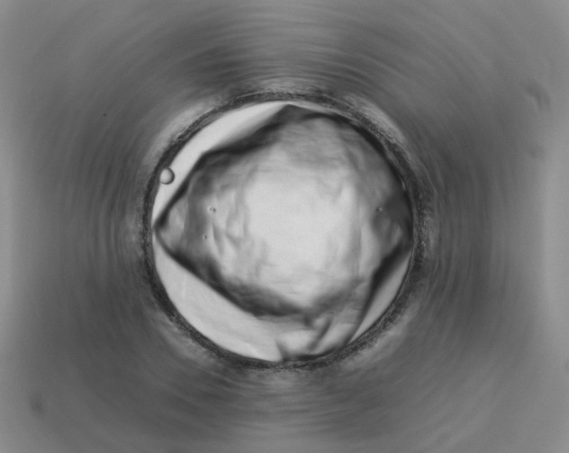 X0000113370930200910131318