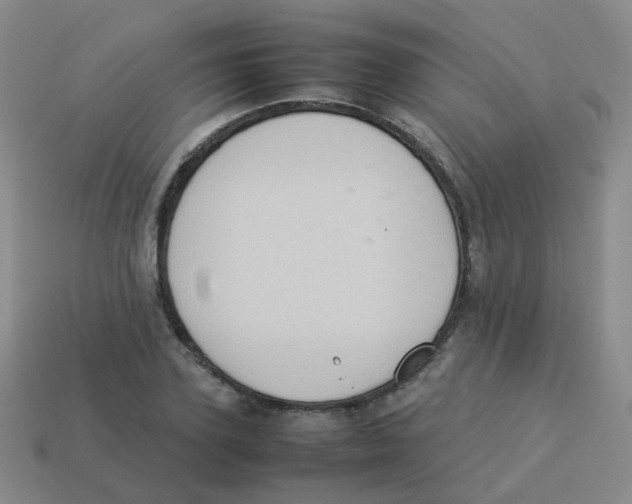 X0000113370931200910131318