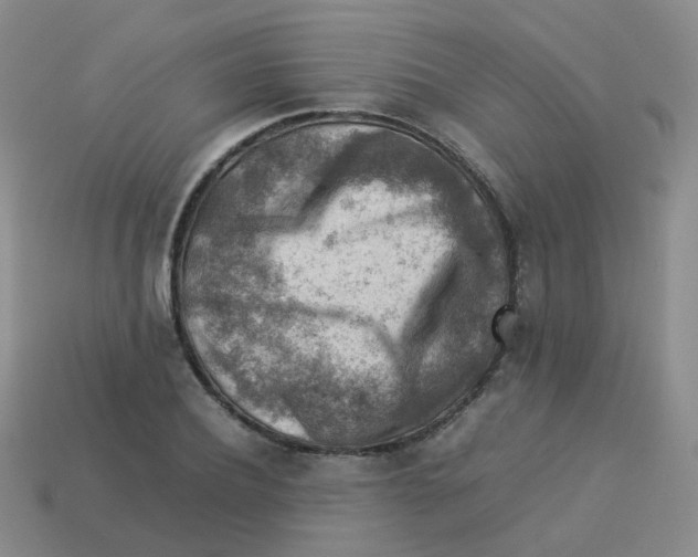 X0000113370932200910131318