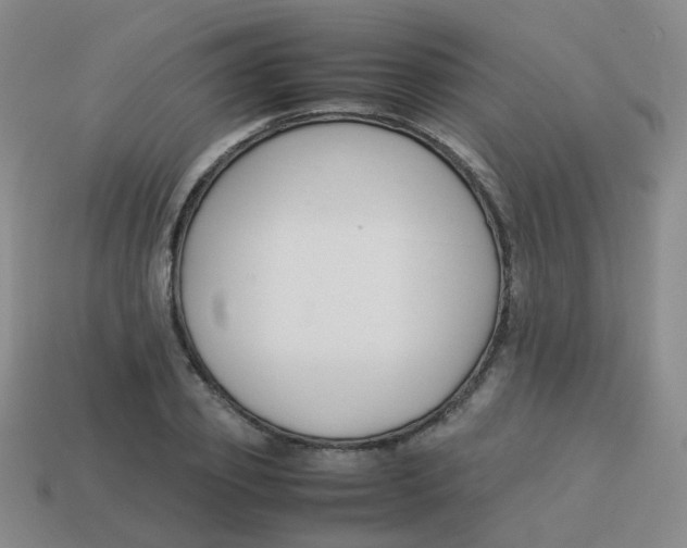 X0000113370933200910131318
