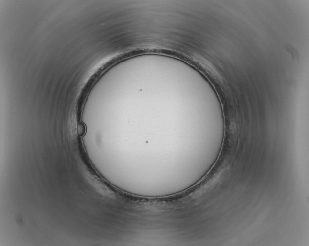 X0000113370934200910131318
