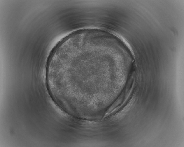 X0000113370935200910131318