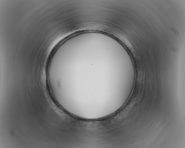 X0000113370936200910131318