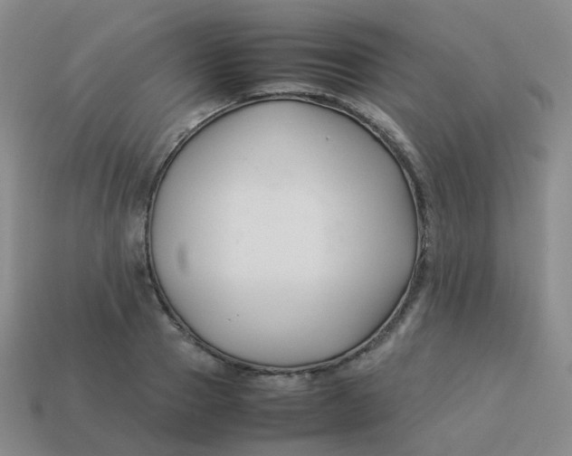 X0000113370937200910131318