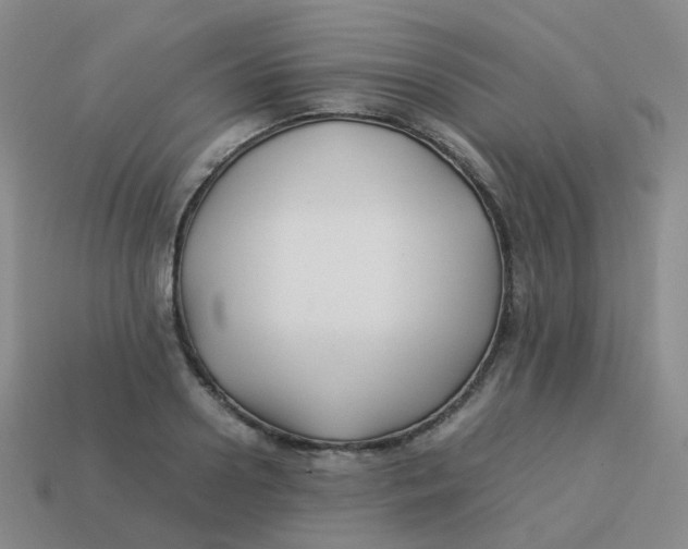 X0000113370938200910131318