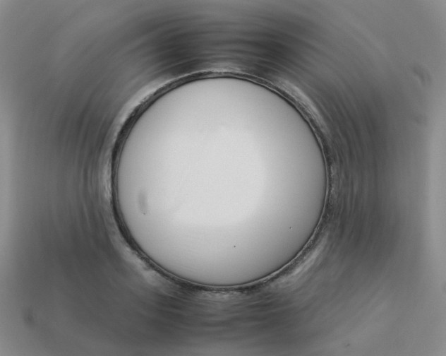 X0000113370939200910131318