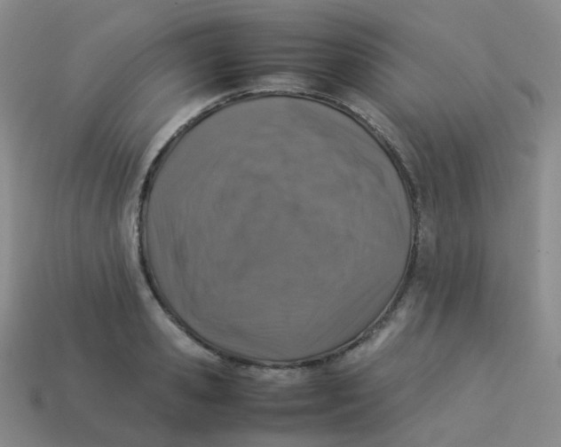 X0000113370941200910131318