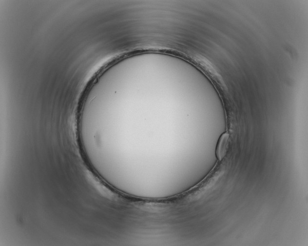 X0000113370942200910131318