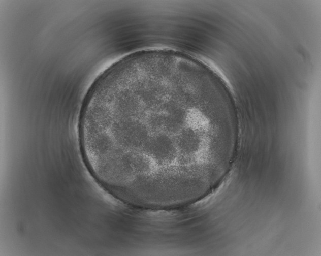 X0000113370943200910131318