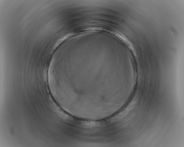 X0000113370945200910131318