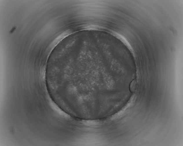 X0000113370946200910131318