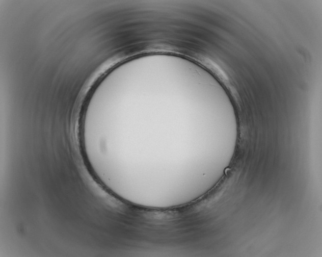 X0000113370947200910131318