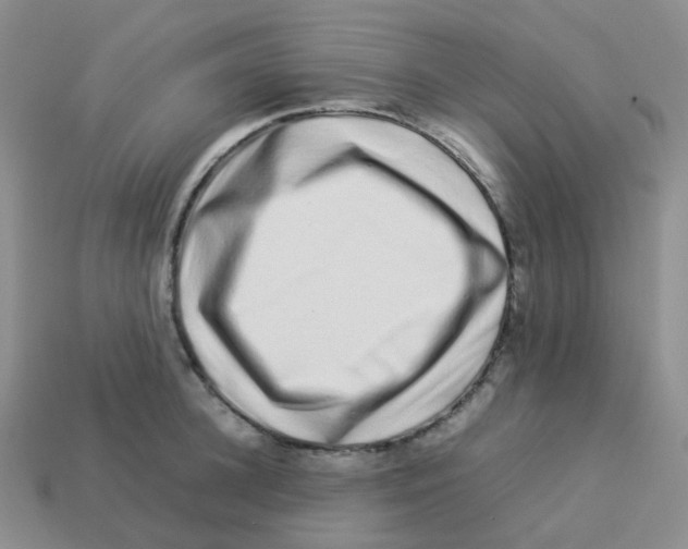 X0000113370948200910131318