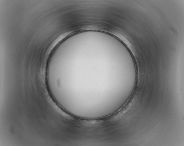 X0000113370949200910131318