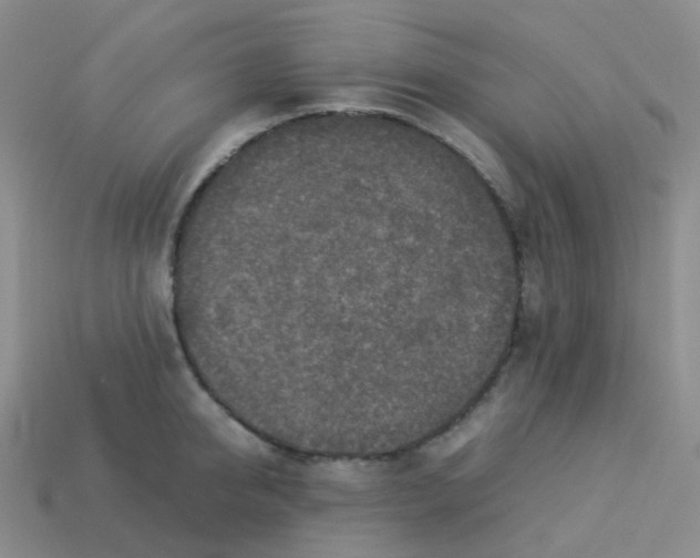 X0000113370950200910131318