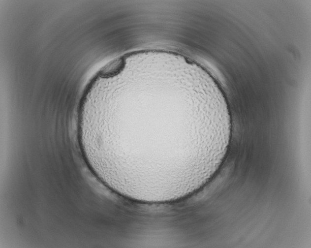 X0000113370952200910131318