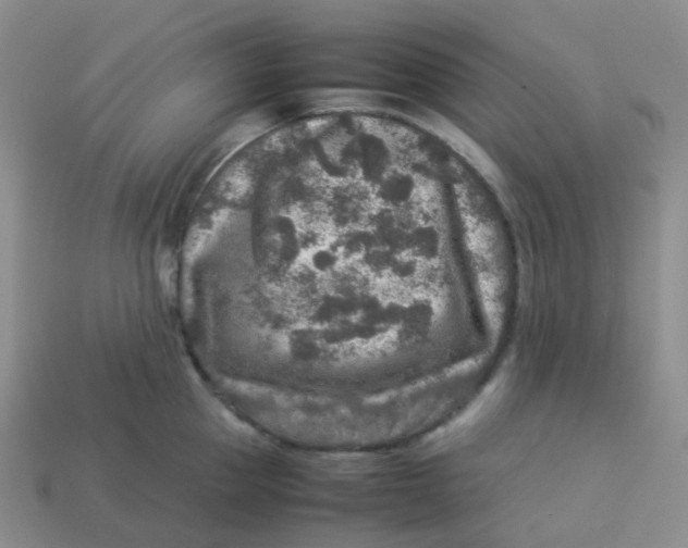 X0000113370953200910131318