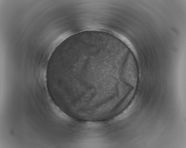X0000113370954200910131318