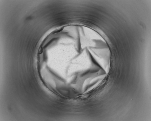 X0000113370955200910131318