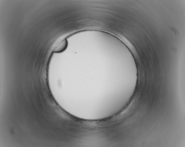 X0000113370956200910131318