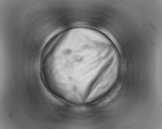 X0000113370957200910131318
