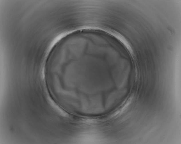 X0000113370958200910131318