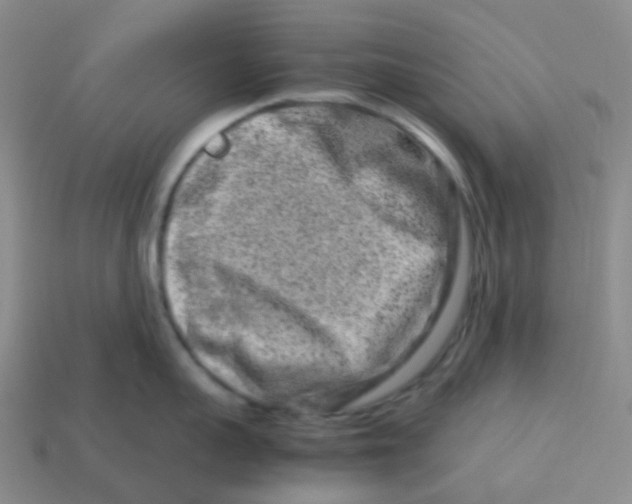 X0000113370959200910131318