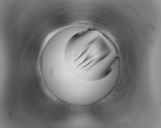 X0000113370960200910131318