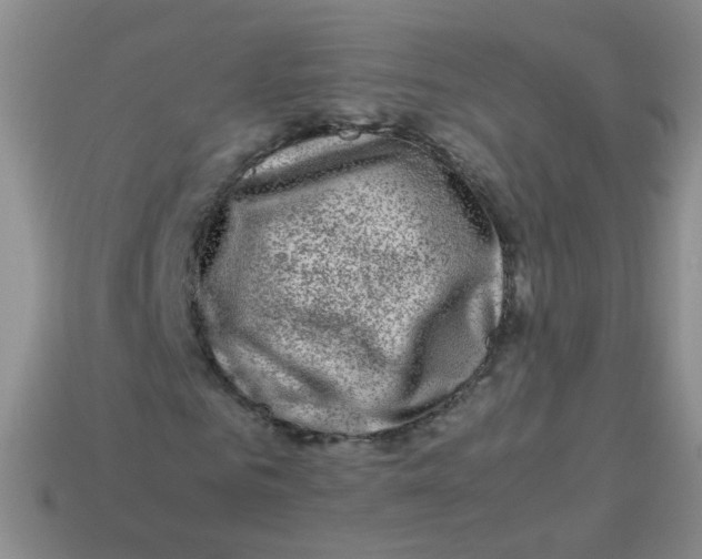 X0000113370961200910131317