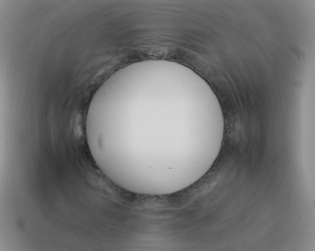 X0000113370962200910131317