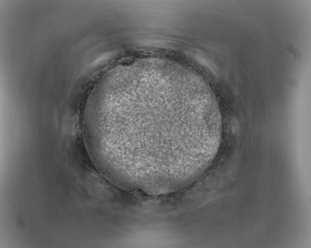 X0000113370965200910131317