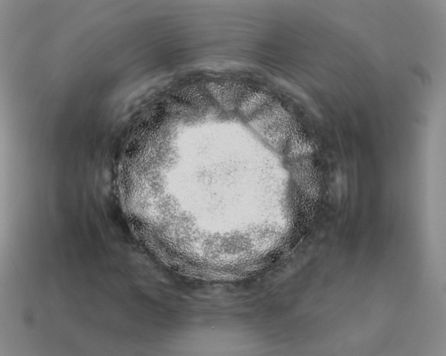 X0000113370966200910131317