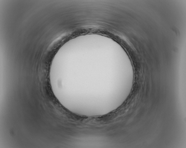 X0000113370967200910131317