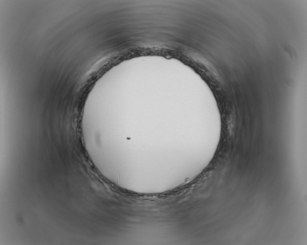 X0000113370968200910131317