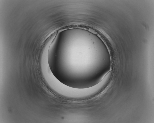 X0000113370969200910131317