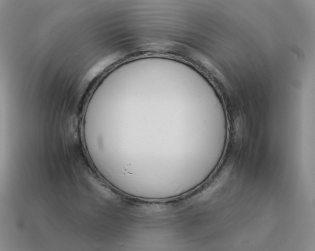 X0000113370970200910131317