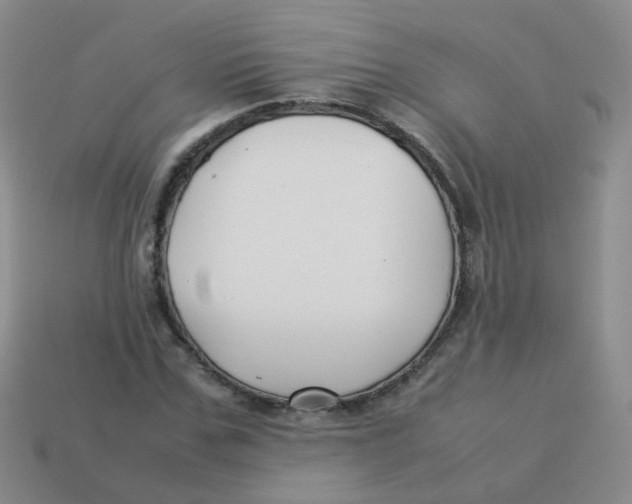X0000113370971200910131317