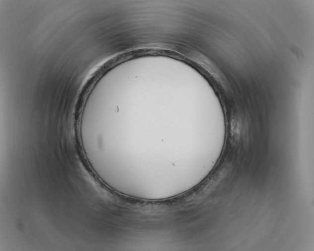 X0000113370972200910131317