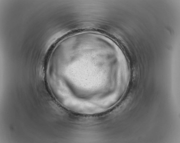 X0000113370973200910131317
