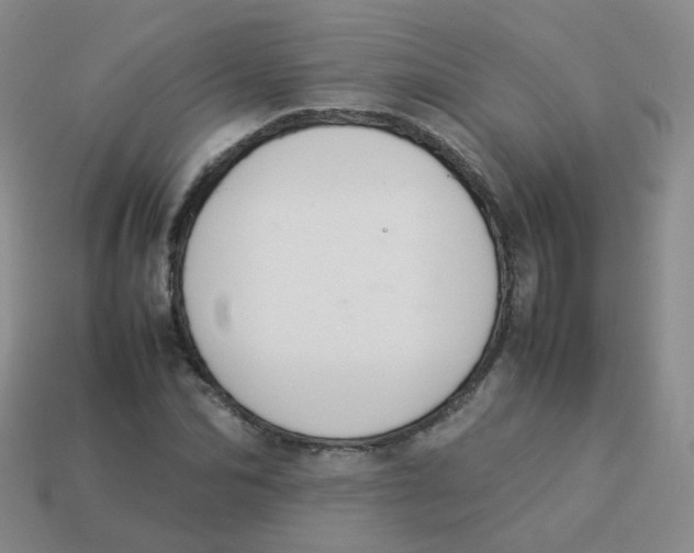 X0000113370974200910131317
