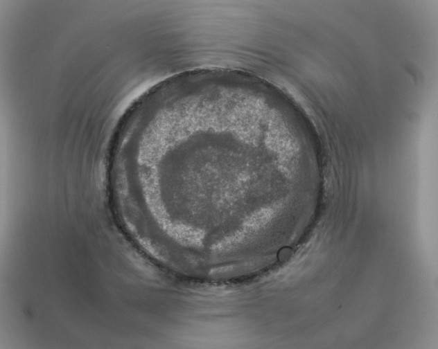 X0000113370975200910131317